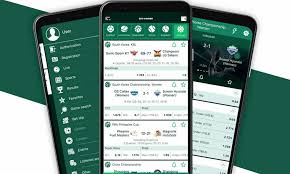 BetWinner Casino and Sportsbook A Comprehensive Review