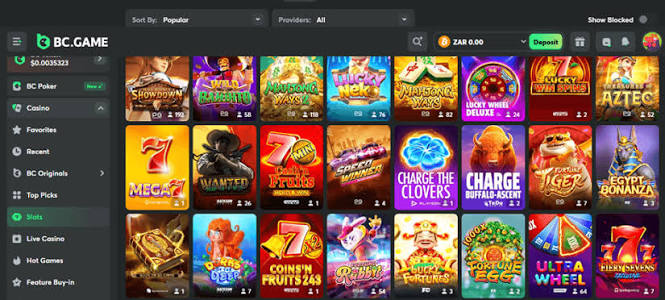 BC.Game Casino Platform Your Ultimate Guide to Online Gaming